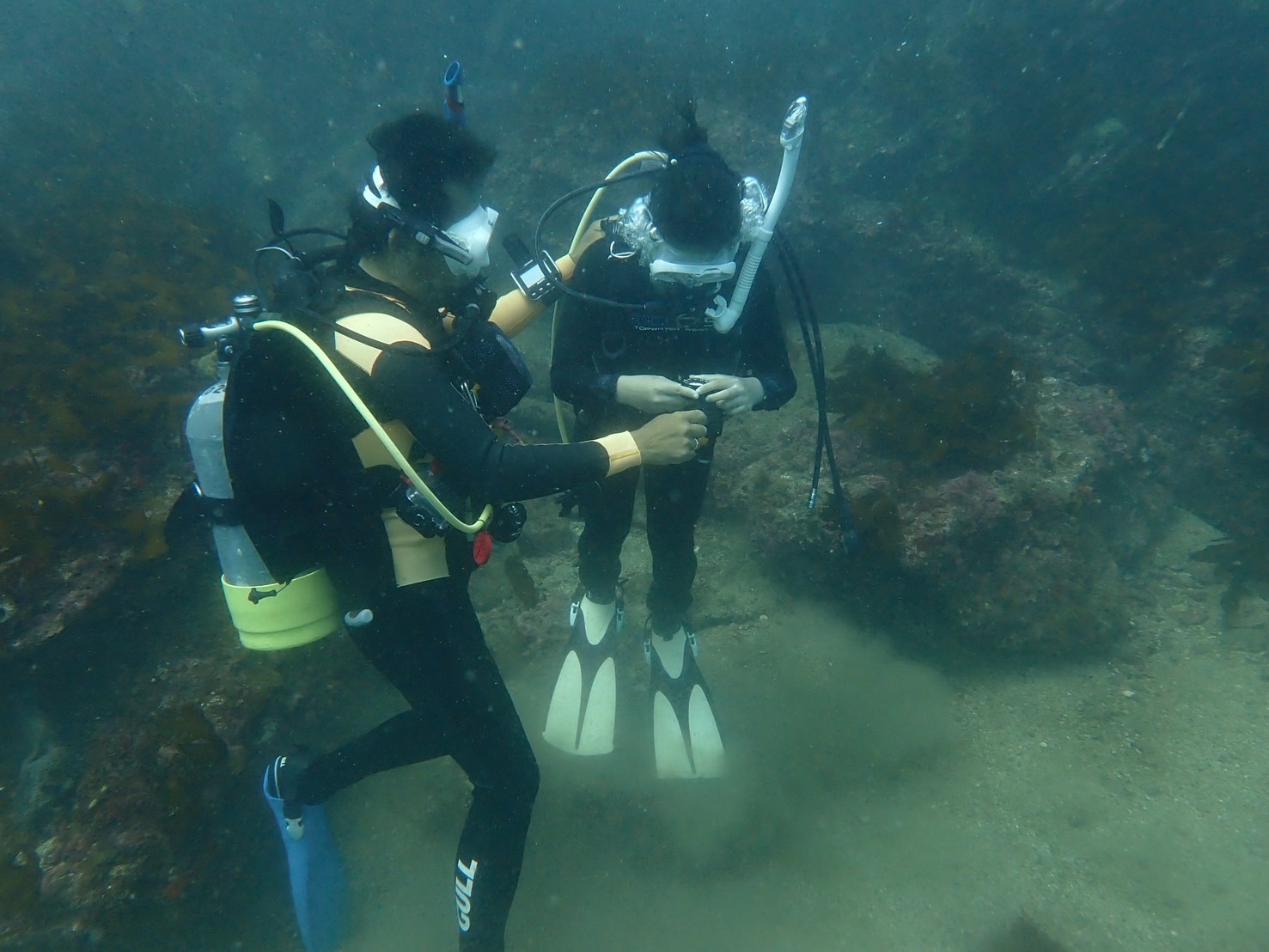 海でコンパスナビゲーションを練習するダイバー