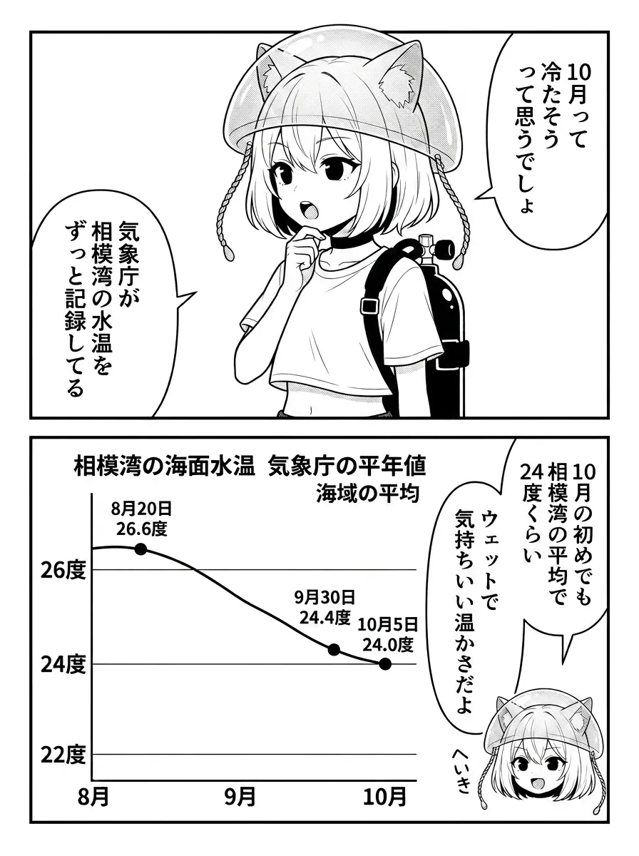10月って冷たそう？ 気象庁が相模湾の水温をずっと記録している。図解は相模湾の海面水温（気象庁の平年値・海域の平均）で、8月20日26.6度、9月30日24.4度、10月5日24.0度。10月の初めでも相模湾の平均で24度くらい、ウェットで気持ちいい温かさ