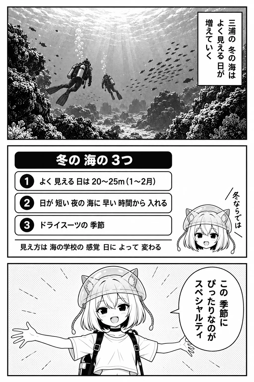 三浦の冬の海は、よく見える日が増えていく。図解「冬の海の3つ」：よく見える日は20〜25m（1〜2月）・日が短い 夜の海に早い時間から入れる・ドライスーツの季節（見え方は海の学校の感覚、日によって変わる）。この季節にぴったりなのがスペシャルティ