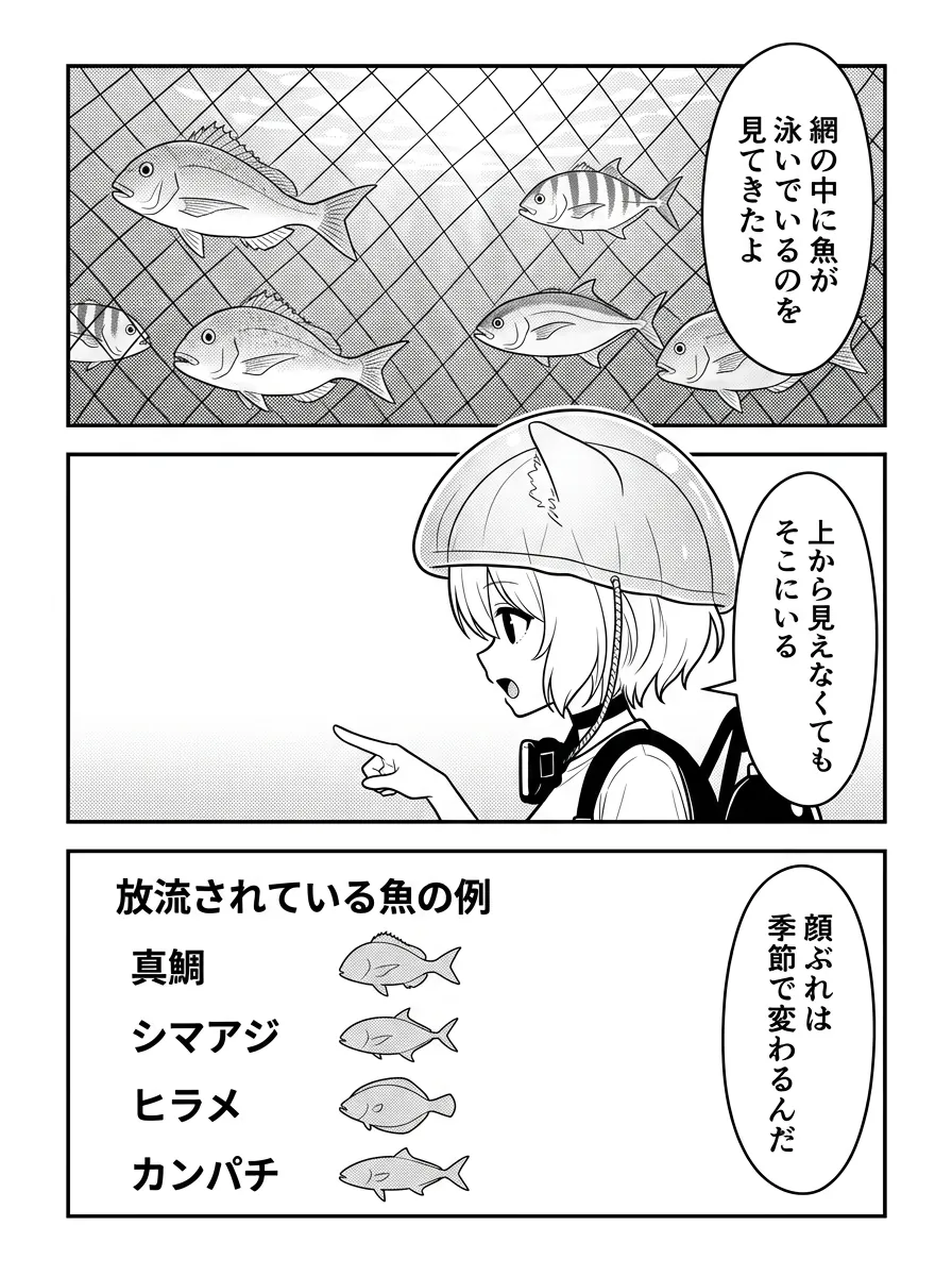網の中に魚が泳いでいるのを見てきた。上から見えなくてもそこにいる。放流されている魚の例は真鯛・シマアジ・ヒラメ・カンパチで、顔ぶれは季節で変わる