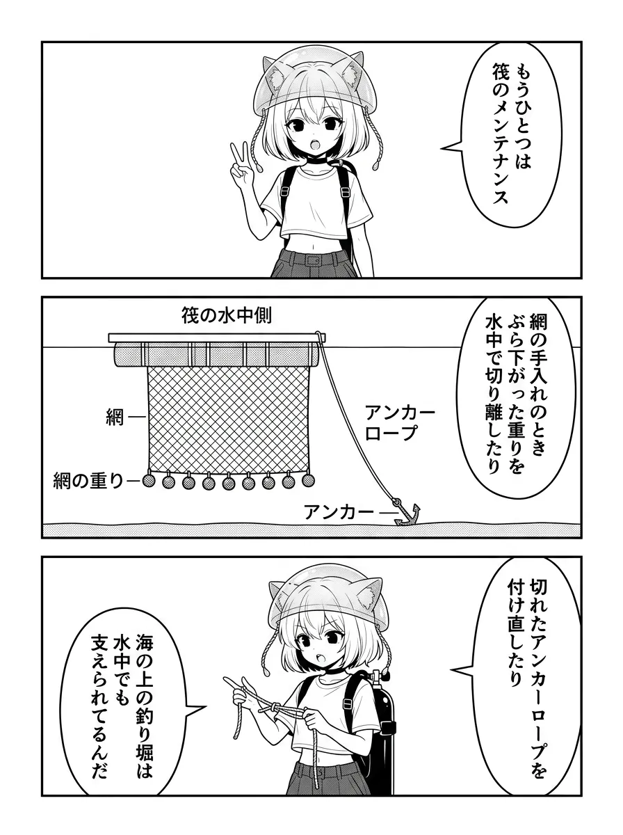 もうひとつは筏のメンテナンス。筏の水中側（網・網の重り・アンカーロープ・アンカー）を図解。網の手入れのときに重りを水中で切り離したり、切れたアンカーロープを付け直したり。海の上の釣り堀は水中でも支えられている