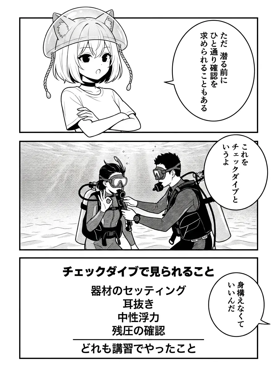 チェックダイブで見られることを図解。器材のセッティング・耳抜き・中性浮力・残圧の確認で、どれも講習でやったこと