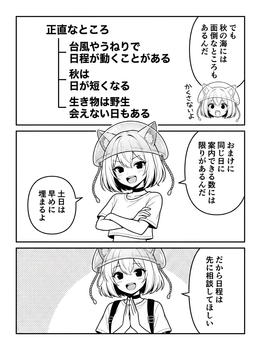 秋の海の正直なところを図解。台風やうねりで日程が動くことがある、日が短くなる、生き物は野生で会えない日もある