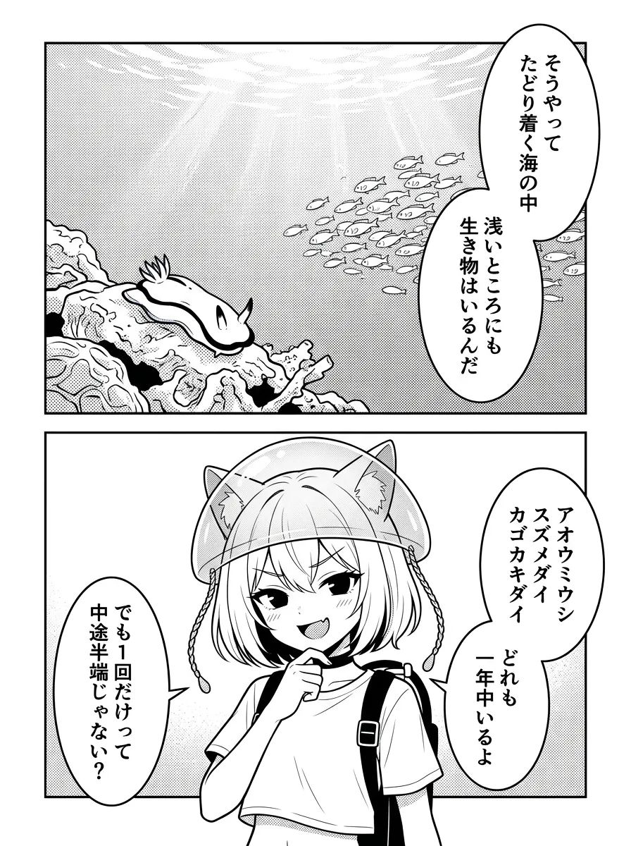 城ヶ島の浅いところにも生き物はいる。アオウミウシ・スズメダイ・カゴカキダイはどれも一年中いる