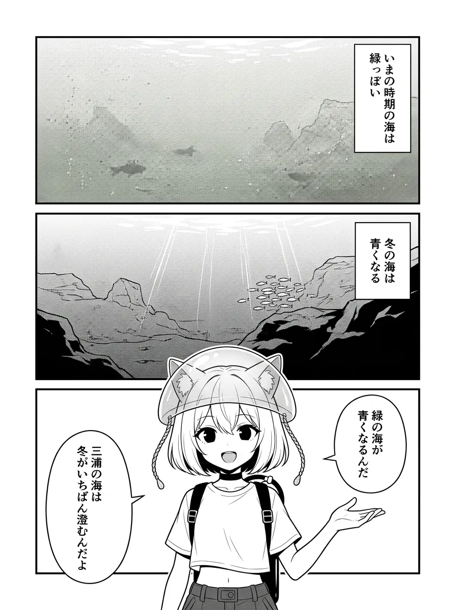いまの時期の海は緑っぽい。冬の海は青くなる。緑の海が青くなる——三浦の海は冬がいちばん澄む