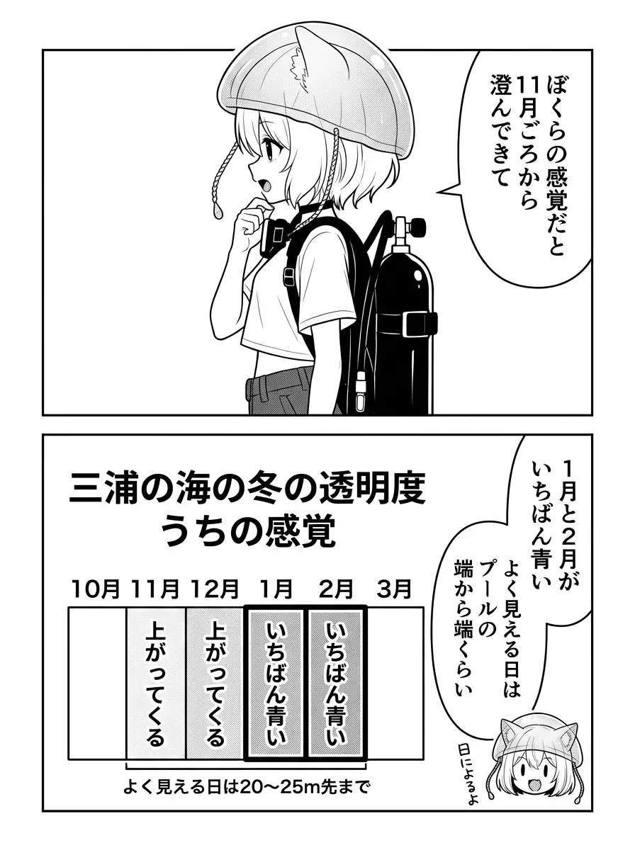 ぼくらの感覚だと11月ごろから澄んできて、1月と2月がいちばん青い。図解は三浦の海の冬の透明度（うちの感覚）：11月・12月は上がってくる、1月・2月がいちばん青い。よく見える日は20〜25m先まで、プールの端から端くらい。日によるよ
