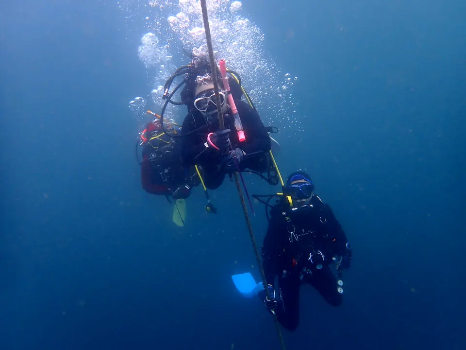 宮川湾で、ブイから伸びるロープをつたって潜降するダイバー