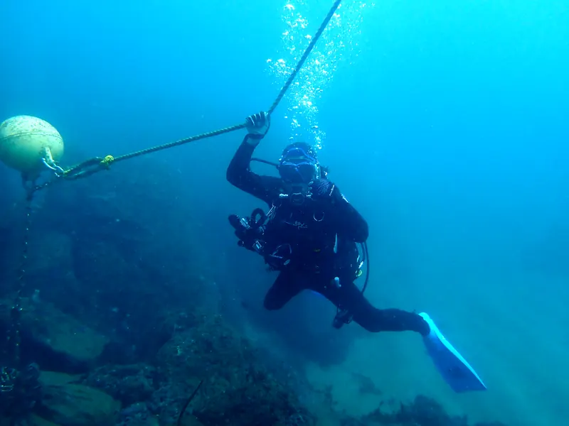 宮川湾の青い海で、ブイから伸びるロープをつたって潜っていくダイバー
