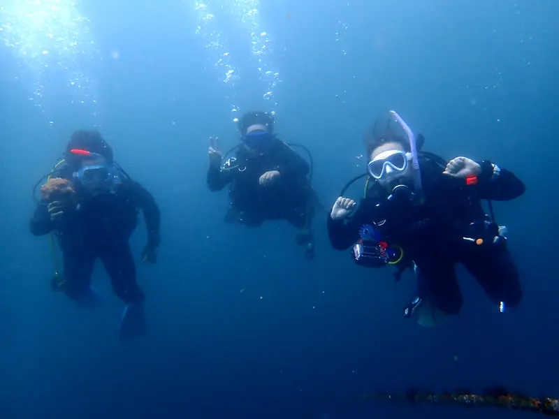 三浦の青い海の中を、並んで泳ぐ3人のダイバー